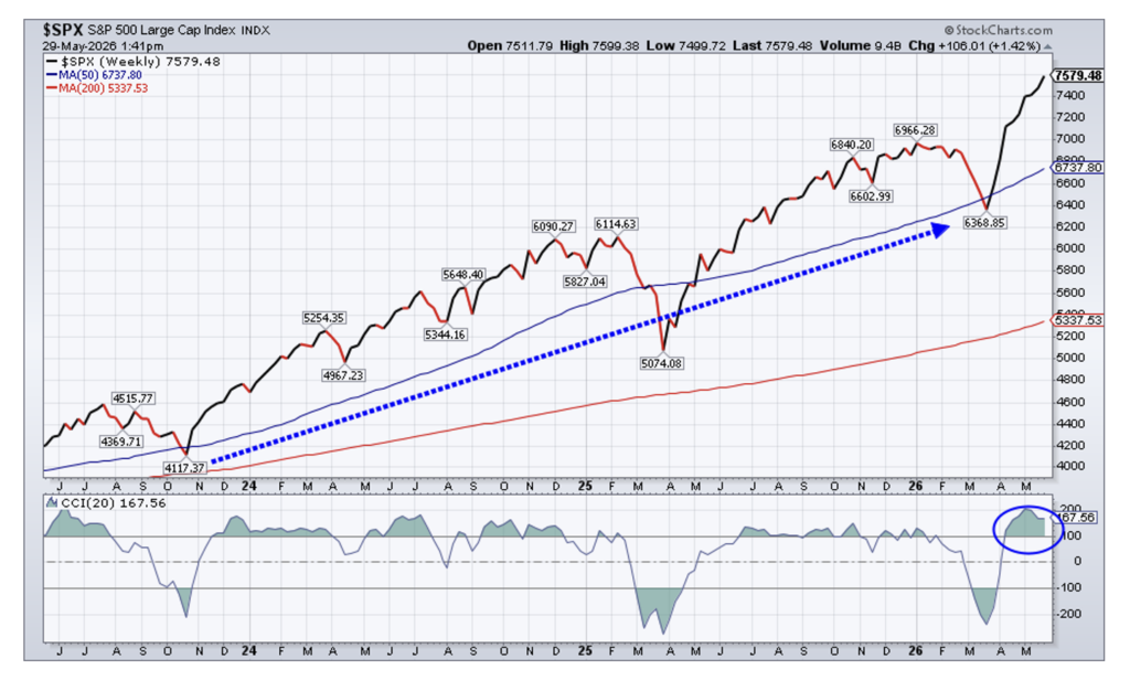 SPX Large Cap Index
